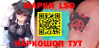 гидропоника Будённовск