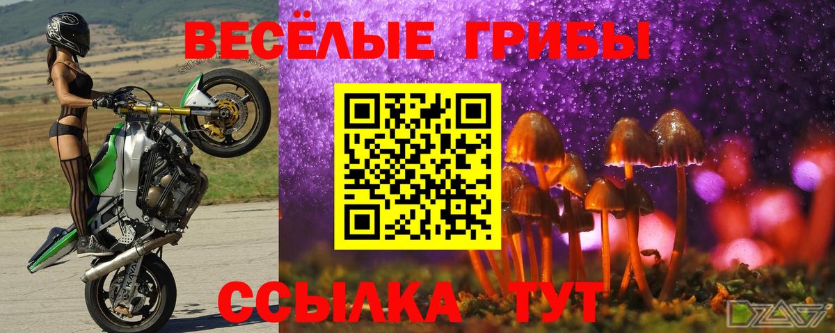 Тында  Псилоцибиновые грибы Psilocybine cubensis  где продают наркотики  Вход с VPN 