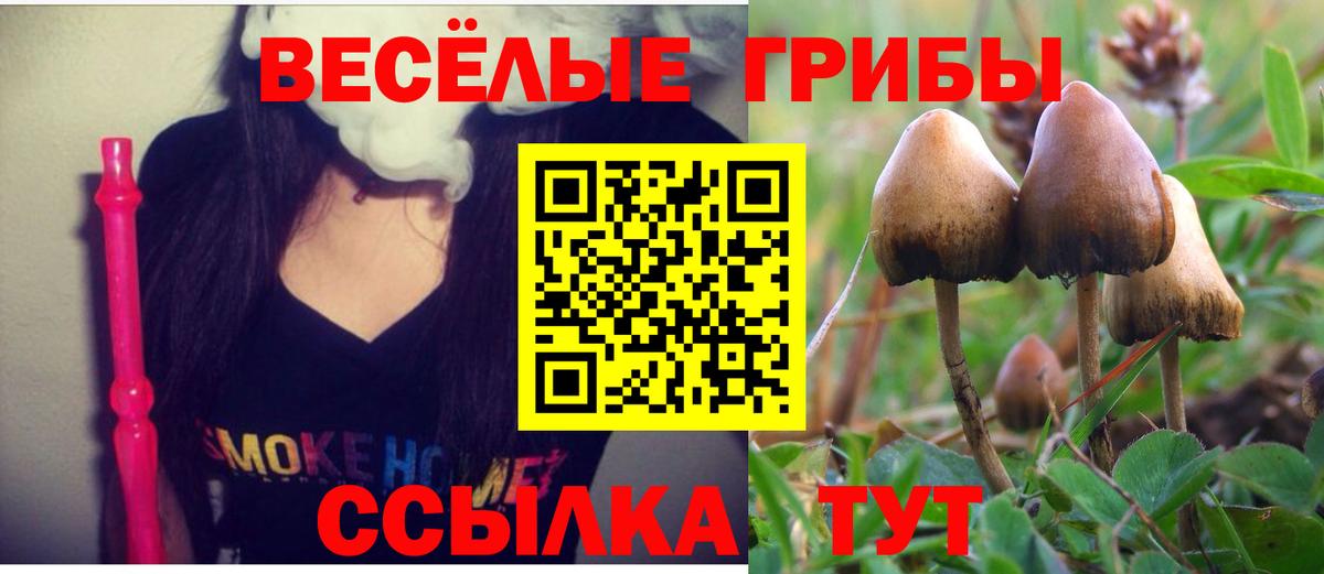 Галлюциногенные грибы мухоморы Тында